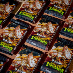 Magic: The Gathering Secrets of Strixhaven - Collector Booster Box (12 Packs)